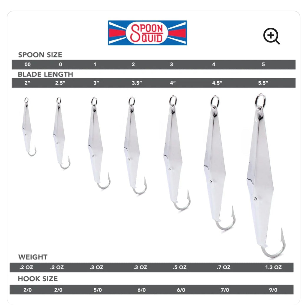 ClarksSpoon #1 Anilla sólida